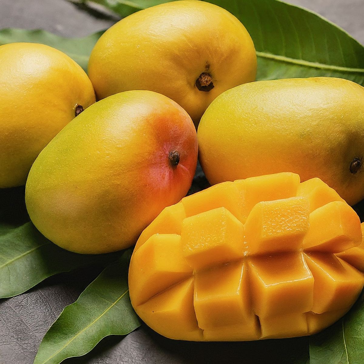 Alphonso (Hapus)